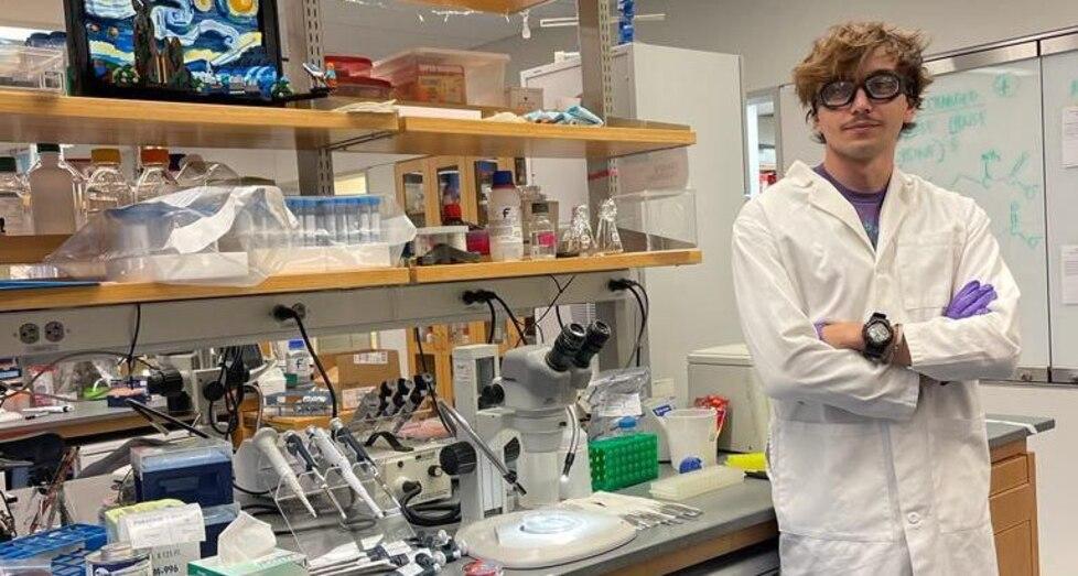 Una immagine di Jacopo Razzauti scattata in laboratorio da un suo collega l’altro ieri poco dopo il collegamento in video chiamata col Tirreno
