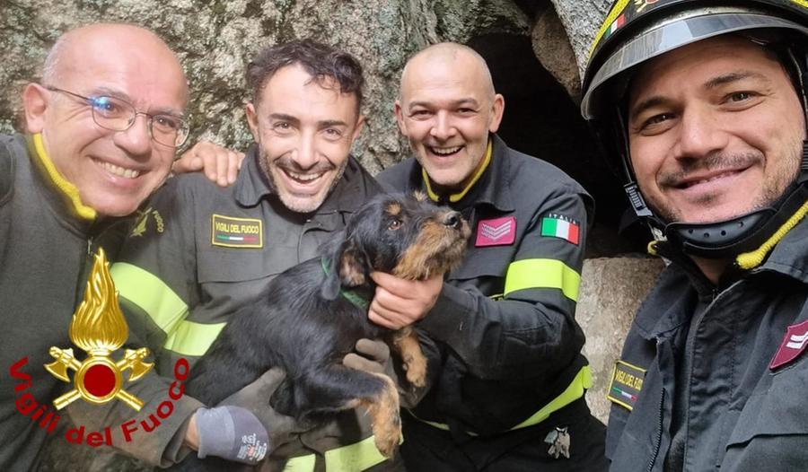 
	La squadra di vigili del fuoco con il cane salvato a Telti&nbsp;


