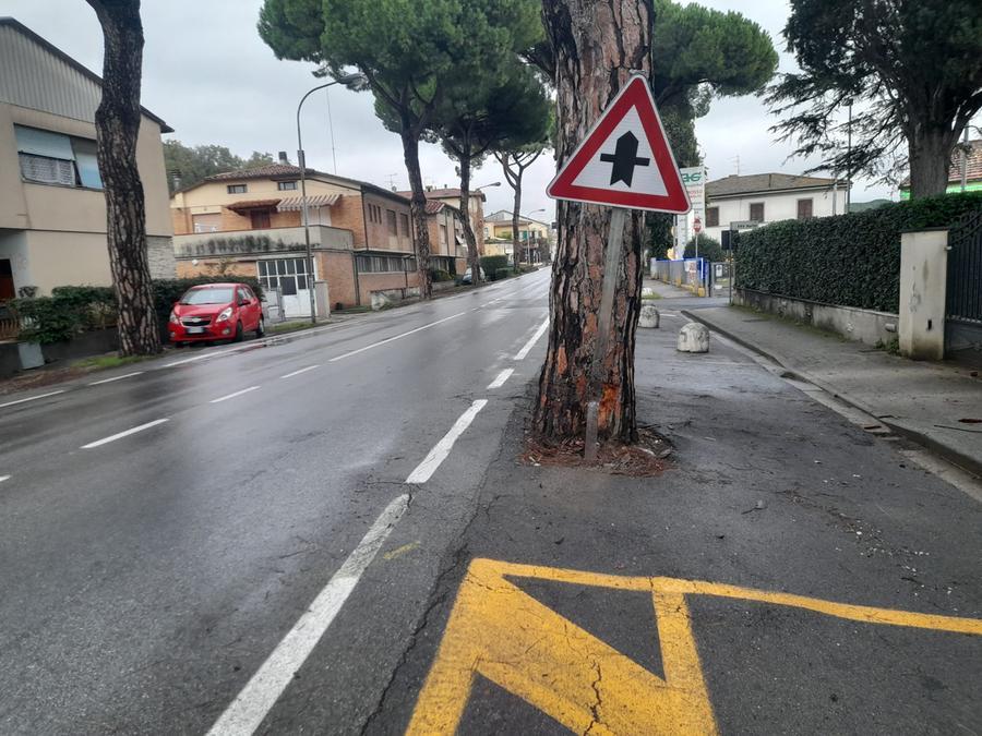 
	Il punto della tragedia

