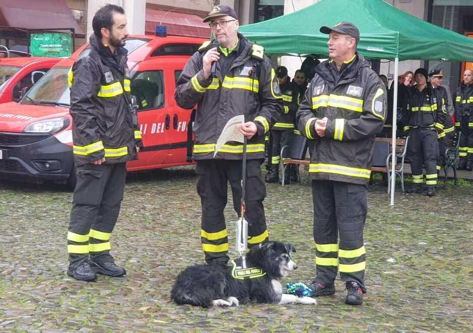 Modena. Vigili del fuoco tra festa e numeri In un anno 9.500 interventi 
