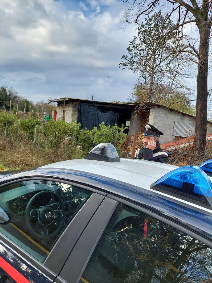 Arrestati mentre rubano legna da ardere