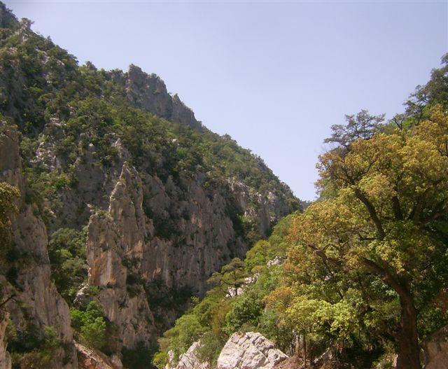 
	Un tratto del supramonte di Baunei, immagine di repertorio

