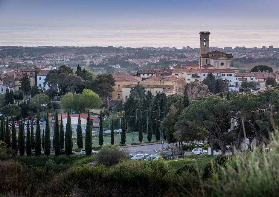 Nuovi alberi al parco delle Morelle che a marzo diventerà pubblico