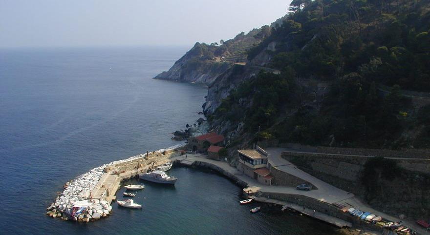 Una veduta del porto di Gorgona