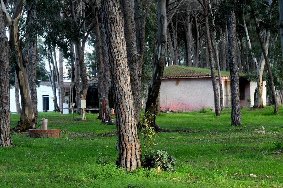 
	Uno scorcio dell'area del campeggio comunale di Torregrande

