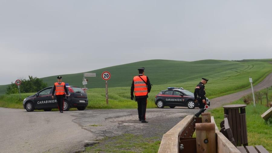 Lunamatrona, strage di pecore sulla provinciale 48