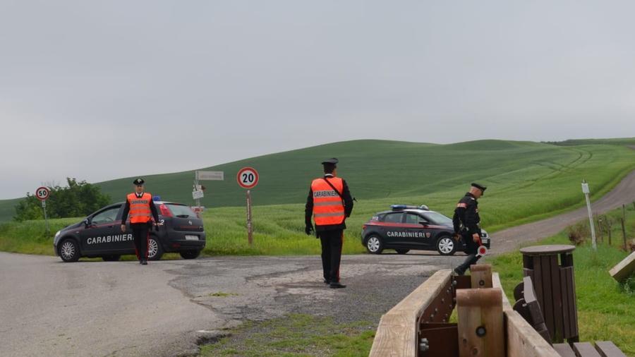 Lunamatrona, strage di pecore sulla provinciale 48