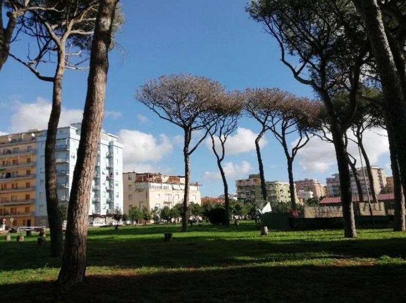 Follonica, si piantano nuovi alberi