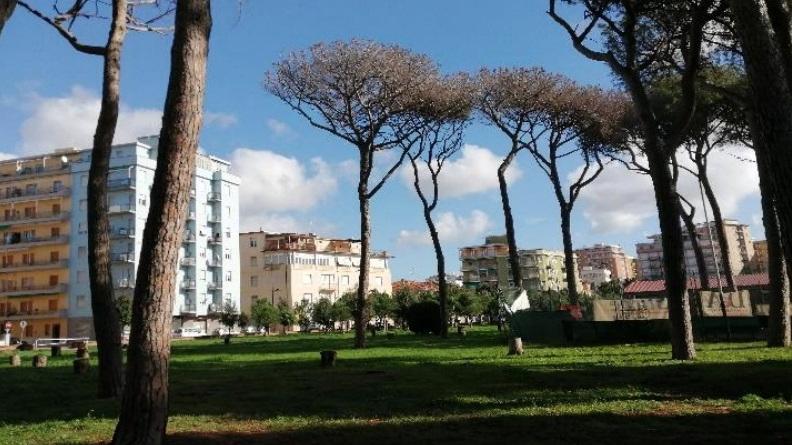 Follonica, si piantano nuovi alberi