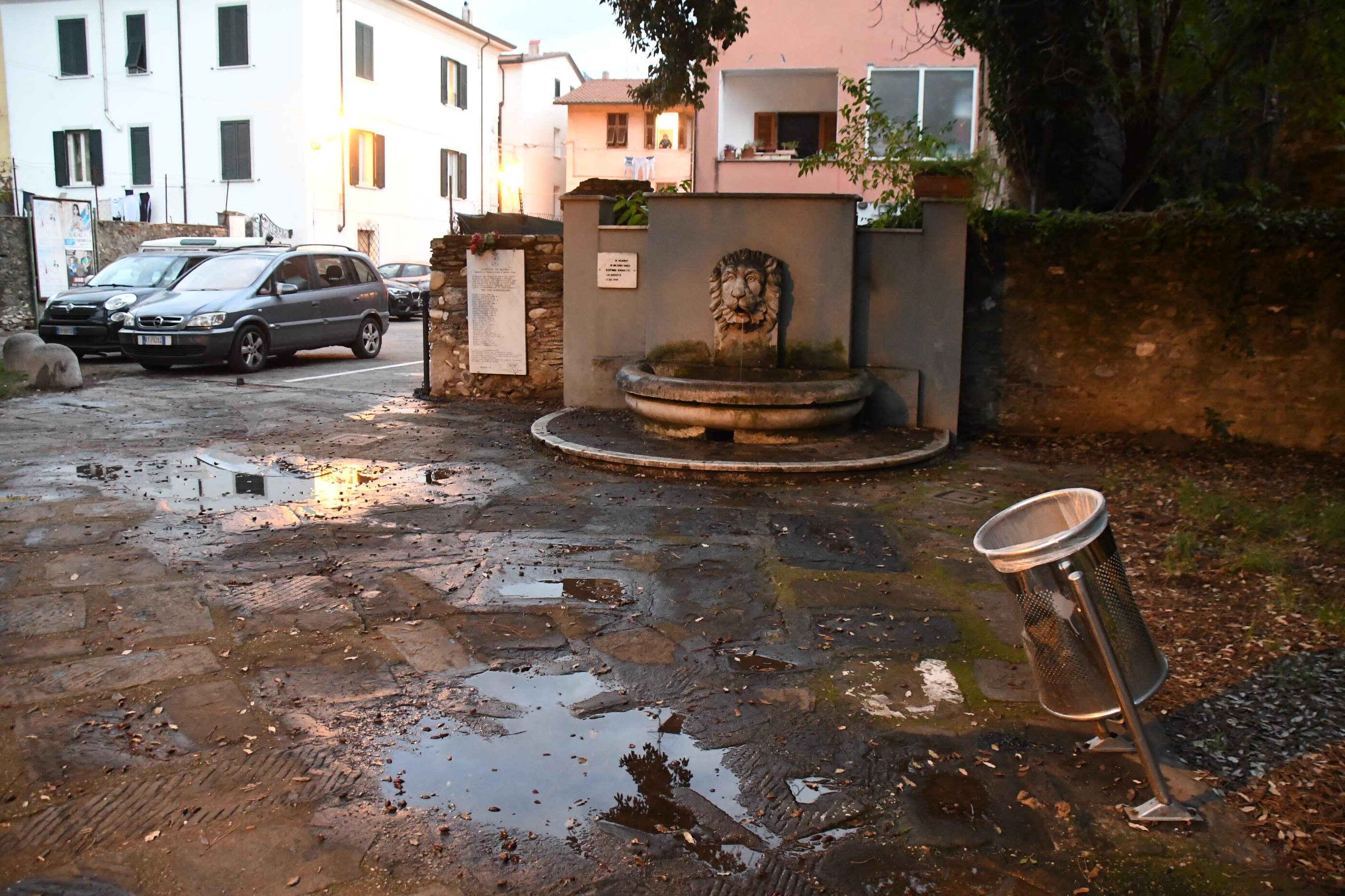 Alberi sradicati e lampioni danneggiati, a Borgo del Ponte la devastazione della baby gang