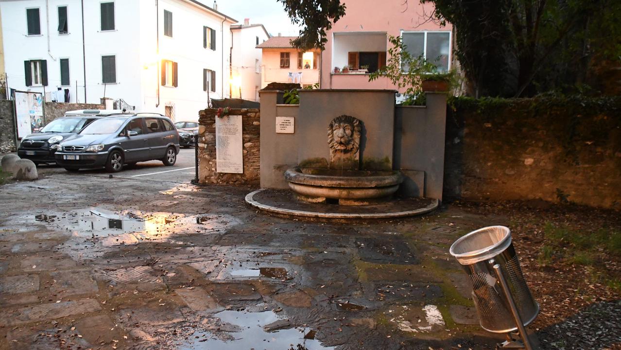 Alberi sradicati e lampioni danneggiati, a Borgo del Ponte la devastazione della baby gang