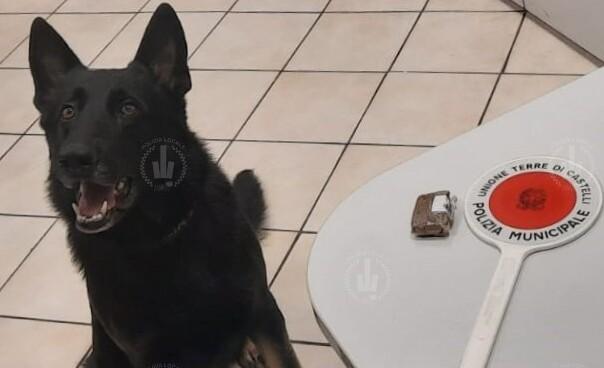 Spilamberto. Fait fiuta la droga: savignanese nei guai 