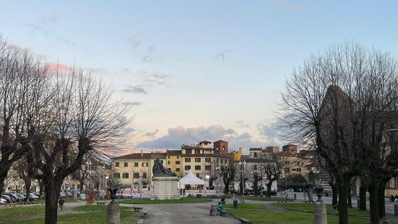 Piazza Mazzini con i suoi alberi ultracentenari (foto Nucci)