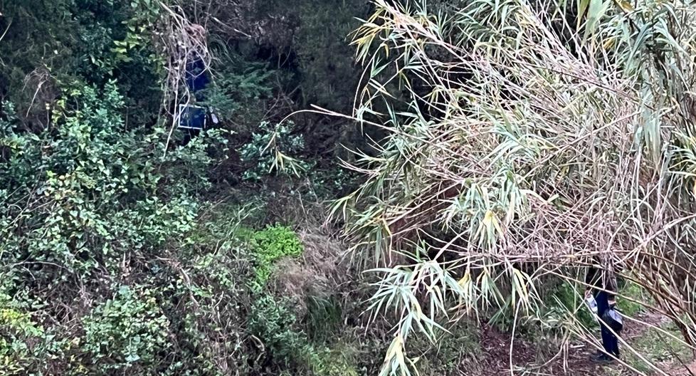Cadavere nel bosco a Piombino: è mistero su identità e cause della morte 