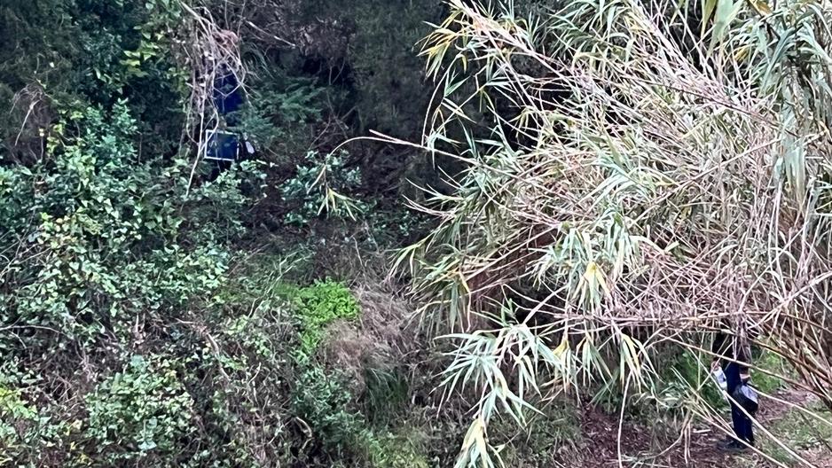 Cadavere nel bosco a Piombino: è mistero su identità e cause della morte 