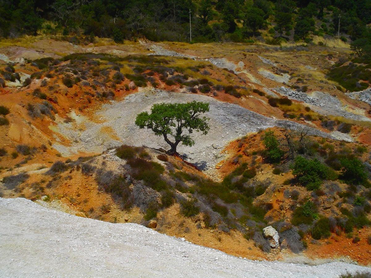 Il respiro della Terra, il Parco delle Biancane a Monterotondo fra soffioni e crateri di acqua bollente 