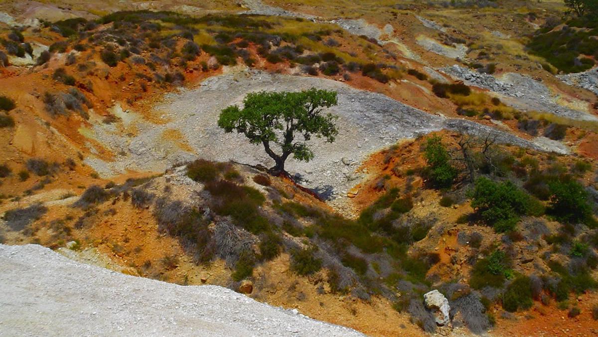 Il respiro della Terra, il Parco delle Biancane a Monterotondo fra soffioni e crateri di acqua bollente