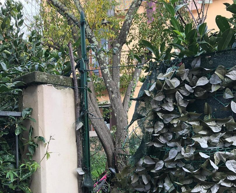 Ecco da dove si sarebbero intrufolati i ladri