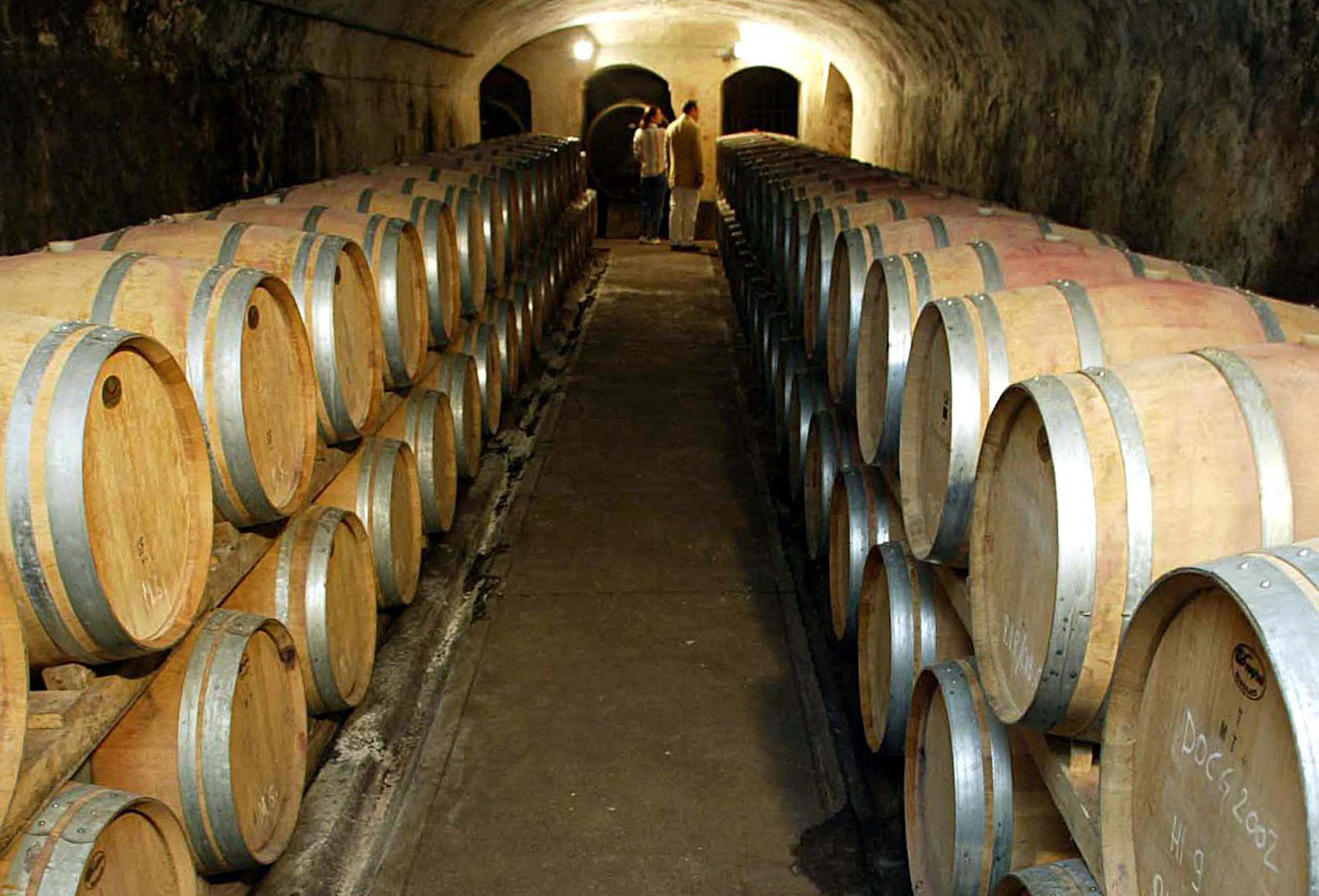 Le grandi cantine sarde reggono bene e le “new entry” sorprendono 