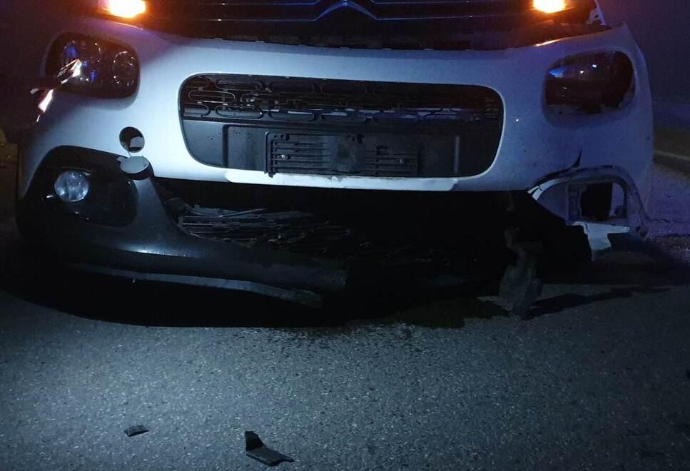 Sassuolo. Incidente con cinghiali, si ferma e un’altra auto travolge la sua 