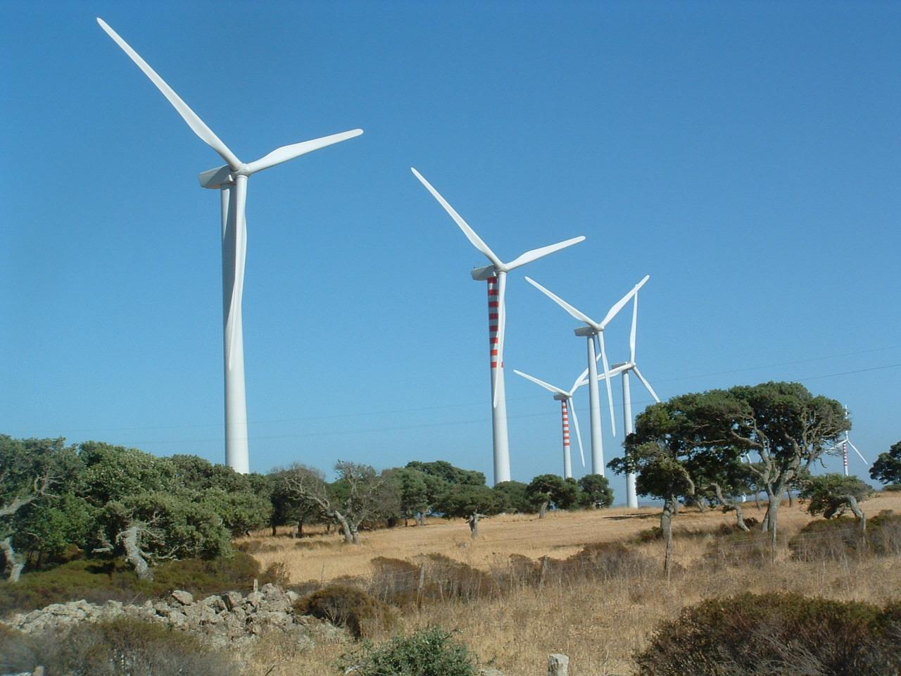 Svolta degli ambientalisti: dicono sì a eolico e fotovoltaico in Sardegna