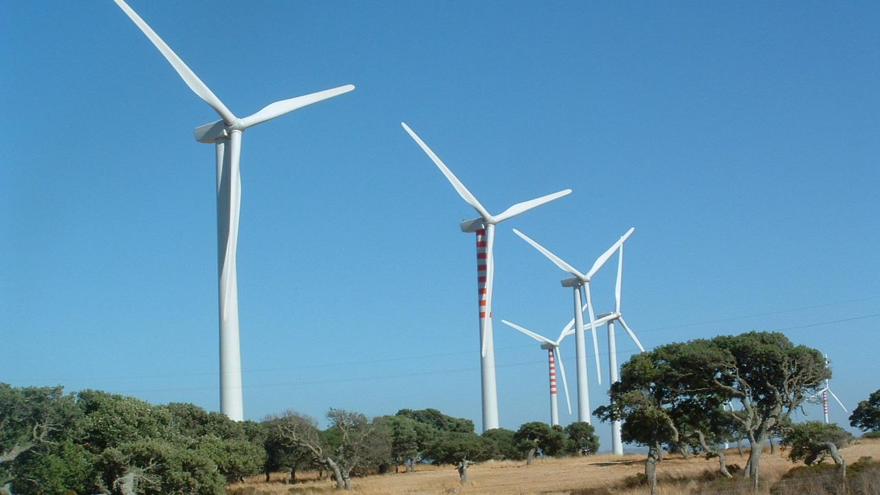 Svolta degli ambientalisti: dicono sì a eolico e fotovoltaico in Sardegna