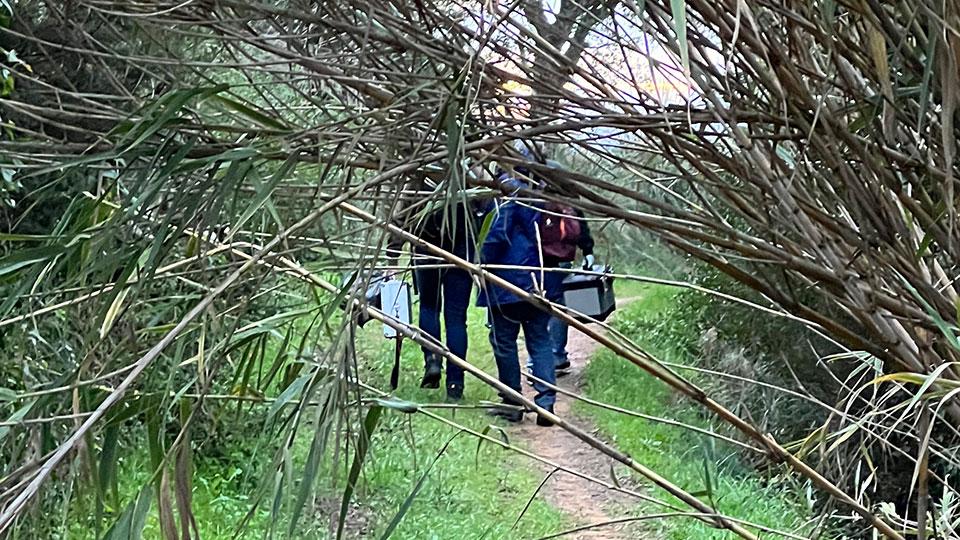 Piombino, cadavere nel bosco ai Diaccioni: le prime ipotesi sull’identità