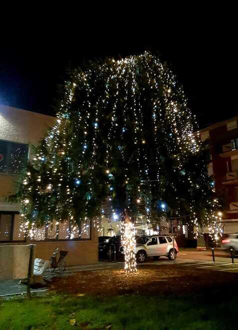 A Cavezzo un Natale con meno luminarie «Scelta responsabile»