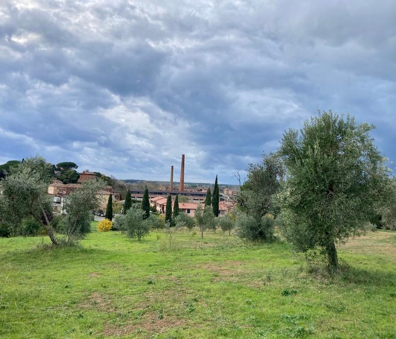 Cecina, tre ettari di parco al Cattaneo: «Apriremo un’azienda agricola»