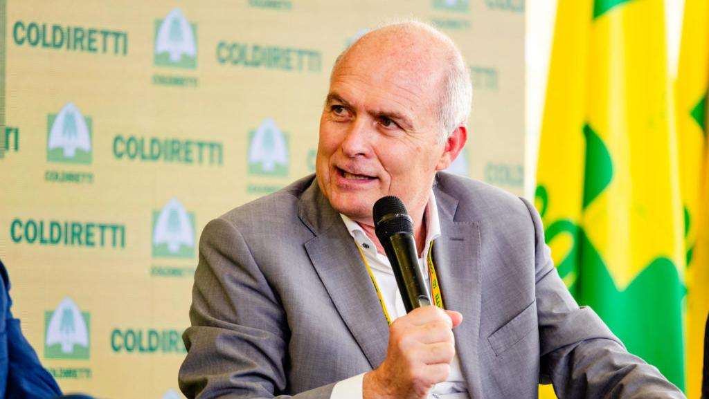Fabrizio Filippi alla guida di Olma, il collegio toscano degli olivicoltori