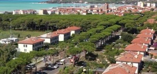 Choc a Rosignano: un piccione decapitato trovato sulla terrazza