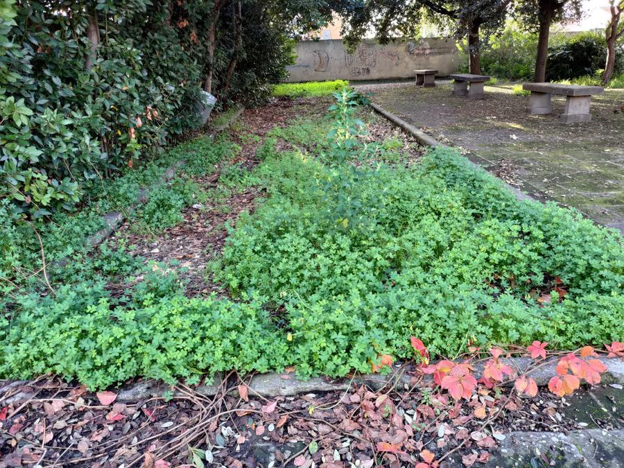 
	L'area verde di via Kolbe al centro delle proteste dei cittadini

