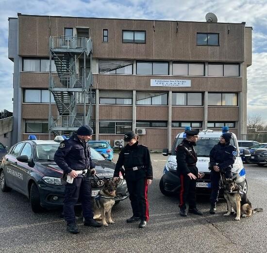 Codigoro, con la droga a scuola: 15enne finisce nei guai