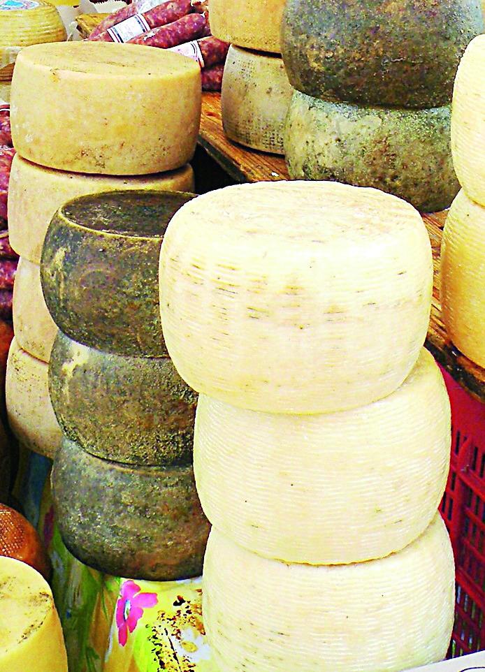 Il formaggio pecorino cambia pelle e gusto per piacere ai giovani 