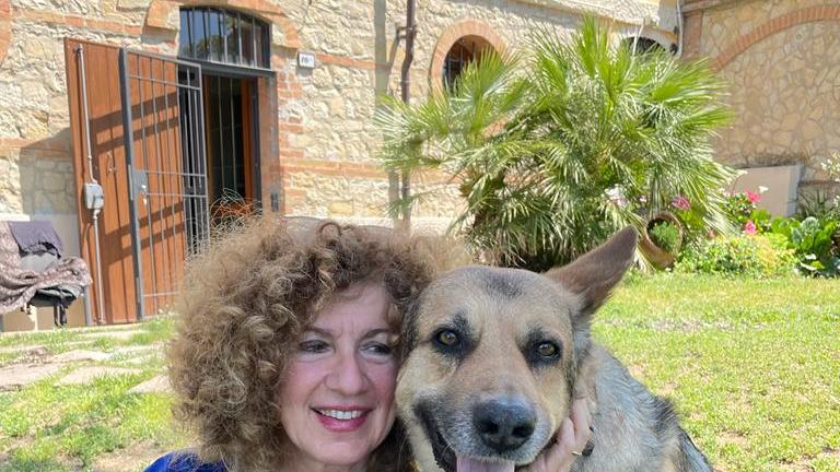 Cosa regalare agli amanti degli animali? Qualche idea per il prossimo Natale<br>
<br>