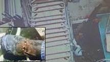 Omicidio alla Gamerra, la consulente Cattaneo: «Scieri morto nel giro di qualche minuto per le lesioni cervicali»