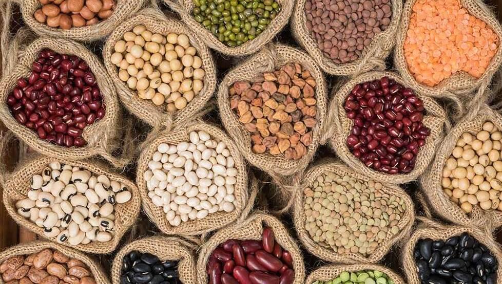 Obiettivo sui  legumi che danno le proteine per mangiare sano