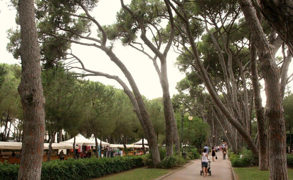Pineta Marradi, il Comune stanzia i primi 500mila euro