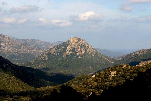 “Foreste aperte” nel parco Tepilora lungo le antiche vie dei carbonai