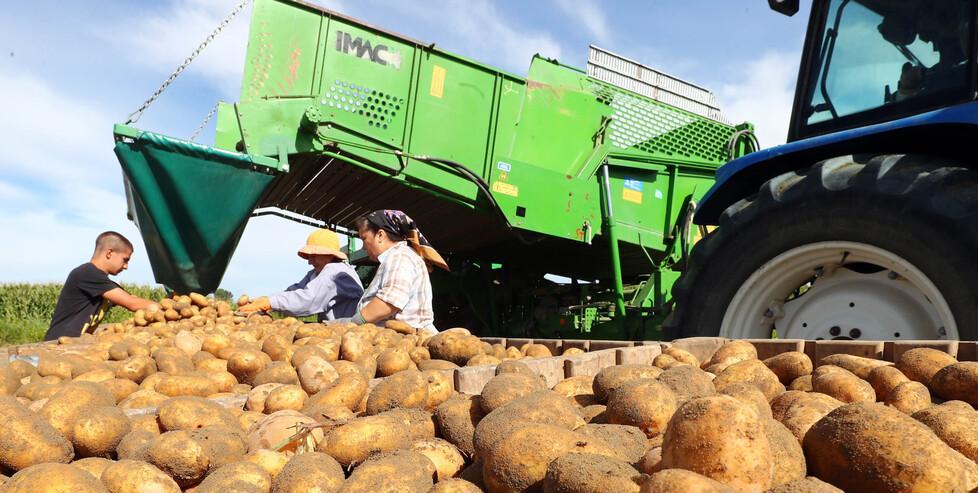 Stanziati 200 milioni per l'agricoltura 