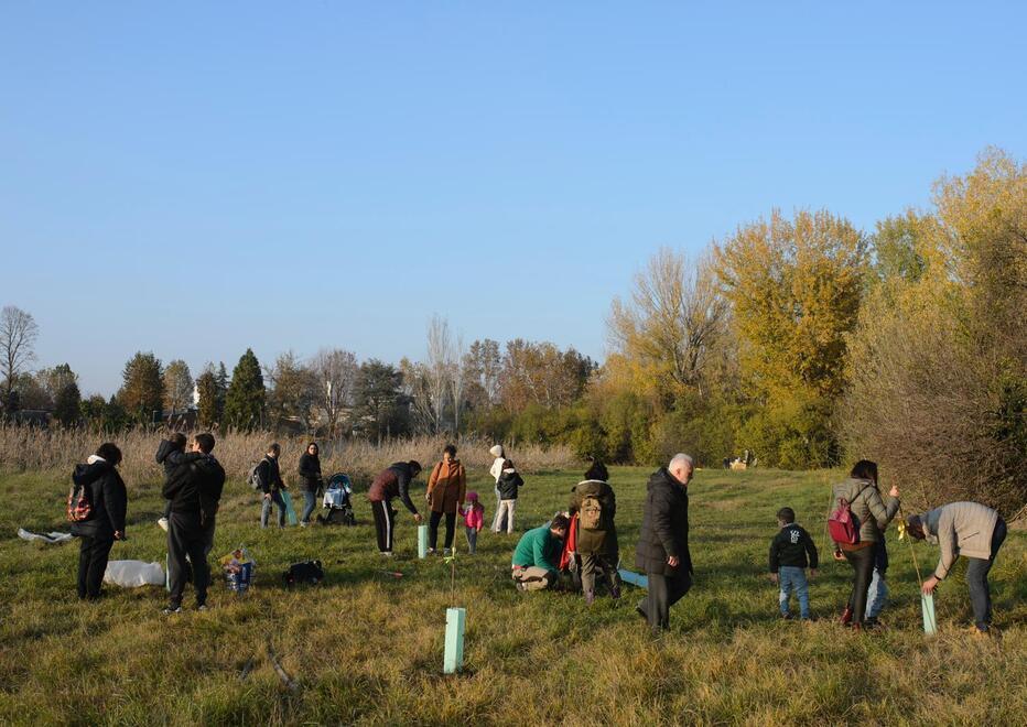 Modena. I cittadini “adottano” un’area verde Si prenderanno cura di 15 querce 