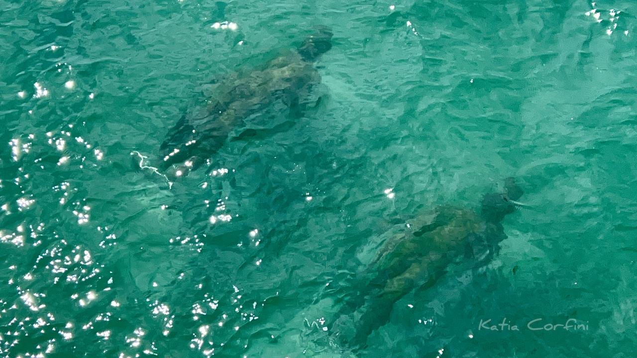 Tonfano, il mare ha inghiottito i bronzi di Riace sotto il pontile