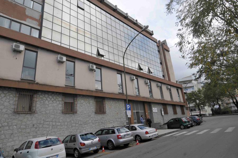 Bidoni con 60 chili di marijuana nascosti nella campagna di Talana: sequestrati e distrutti