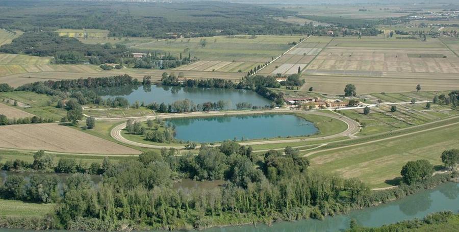 
	Una veduta aerea del Parco di Migliarino San Rossore&nbsp;

