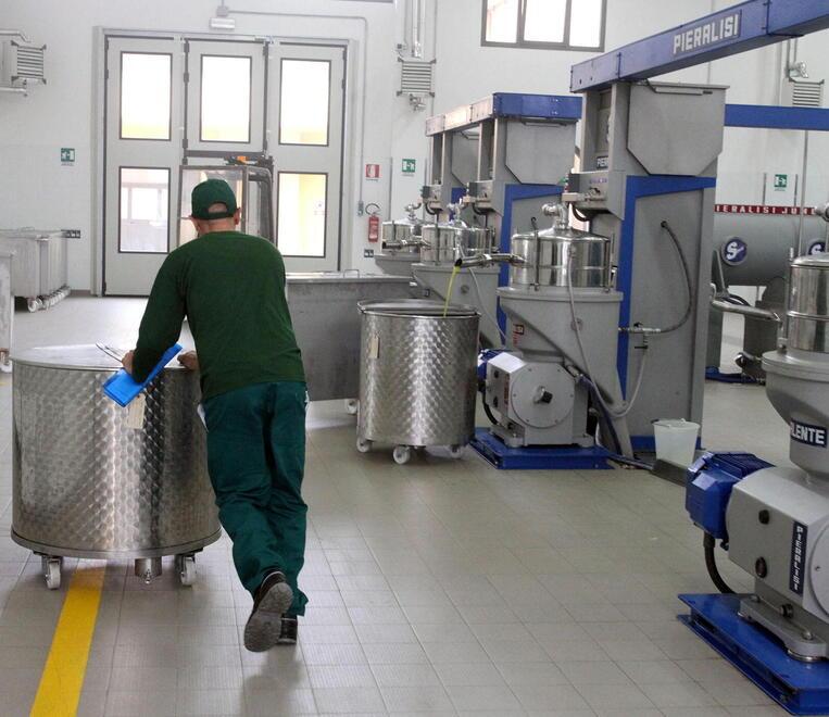 Falso olio extravergine: tra gli indagati tre dipendenti della Montalbano Agricola di Vinci