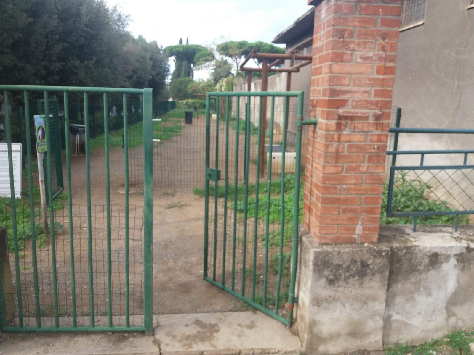 C’è un indagato per la violenza vicino alla stazione di Cecina
