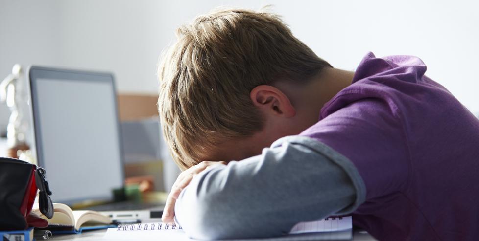 Sassari, violenza e cyberbullismo: «In città dati allarmanti» 