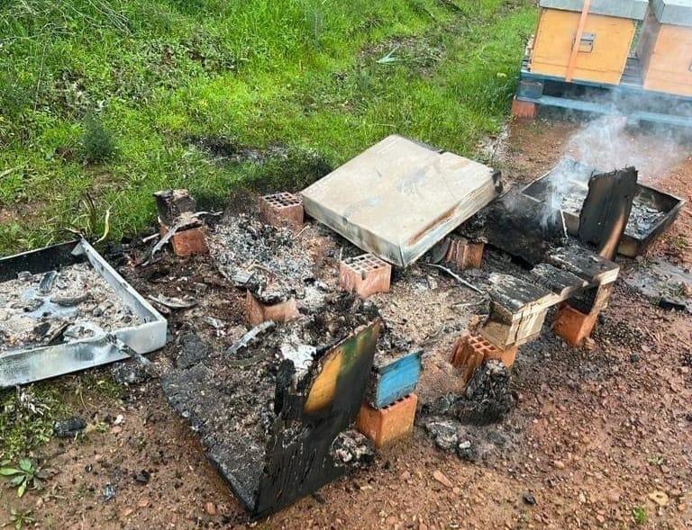 Incendio doloso stermina 2 milioni di api a Villacidro