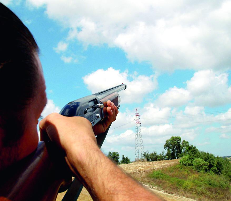 Caccia ai cinghiali anche dentro le città: gli ambientalisti contro il Governo
