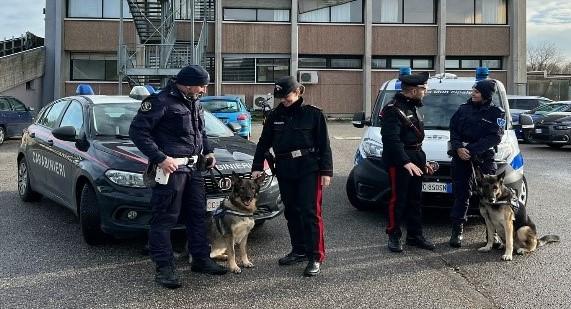 Ferrara. Due arresti per spaccio nei giro di poche ore da parte dei carabinieri